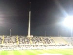 Stadio Franchi (Fiorentina)